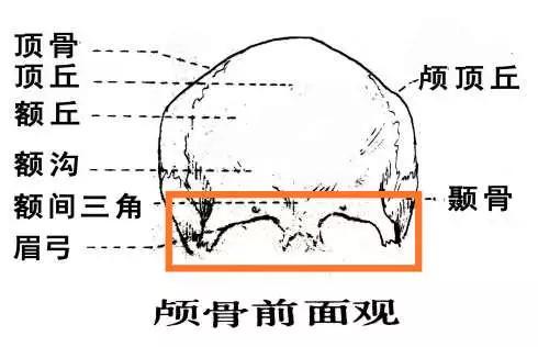 眉弓整形 | 好看的眉弓不是千篇一律