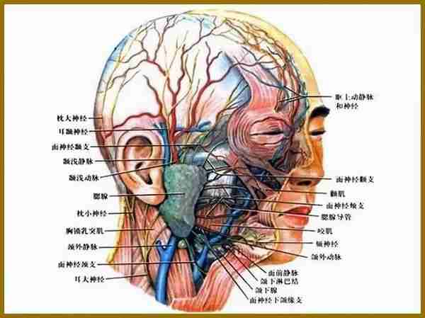 那些颧骨内推的明星还好吗？推平容易后悔晚了，下垂僵硬后遗症多